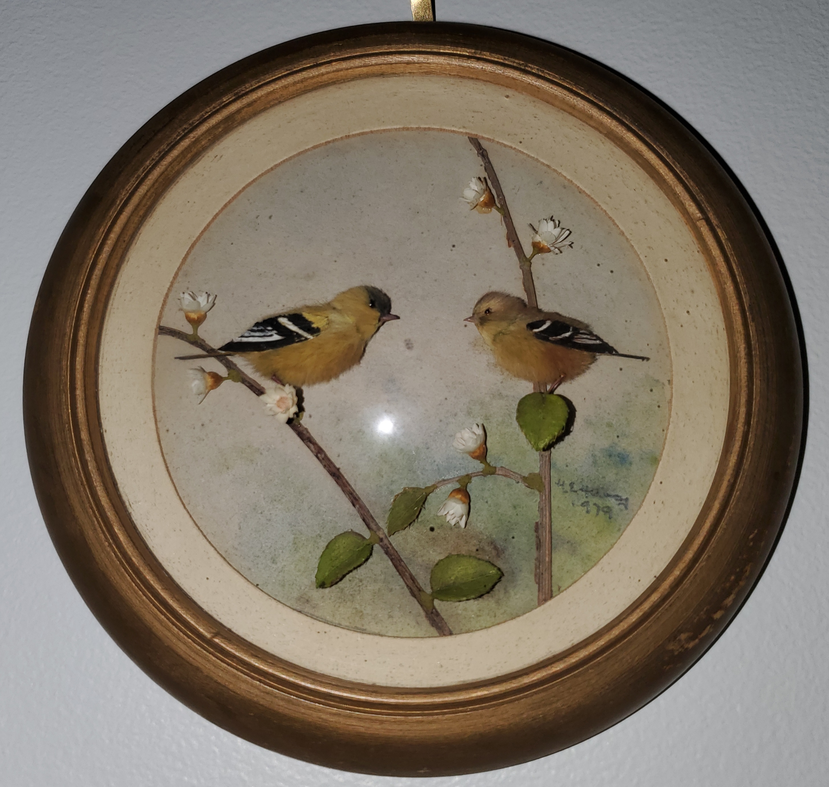 Common Goldfinch and Young (Version 3) (5-inch)